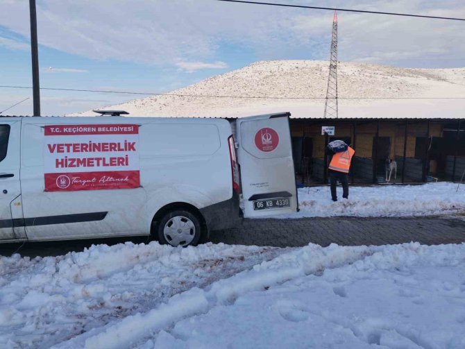 Keçiören Belediyesi Veteriner Hekimleri Yaraları Sarıyor