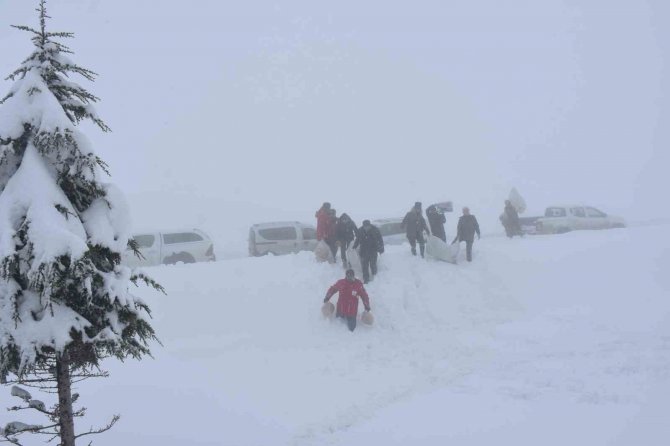 Şırnak’ta Yaban Hayvanları İçin Yem Bırakıldı