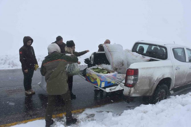 Şırnak’ta Yaban Hayvanları İçin Yem Bırakıldı