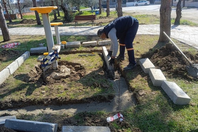Burhaniye’de Talip Apaydın Çamlığı Yenileniyor