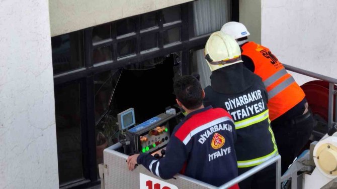 Galeria Sitesinde Mahsur Kalan Hayvanlara İlişkin Açıklama