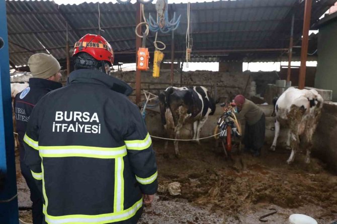 Bursa İtfaiyesi Gece Yangında Gündüz Ahırda