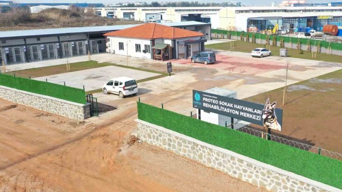 Kahraman Köpek Proteo’nun Adı Kocaeli’de Yaşatılacak
