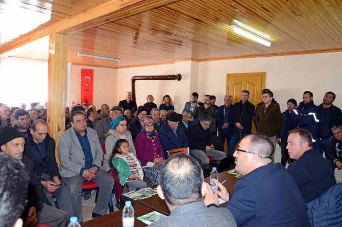 Denizli Kekik Yağı İhracatından 60 Milyon Dolar Kazandı