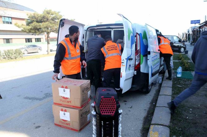 Büyükşehir Enkazdan Kurtarılan Can Dostlara Şifa Olacak
