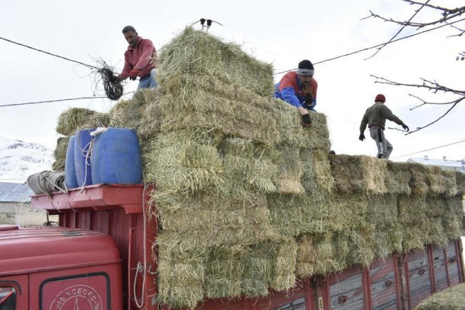 Bayburtlu Çiftçilerin Deprem Bölgesine Yem Desteği Devam Ediyor