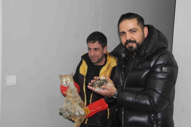 Depremde Boşaltılan Binada Mahsur Kalan Kedi Açlıktan Yavrusunu Yedi