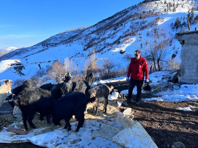 Depremin 17. Gününde 25 Hayvan Enkaz Altından Sağ Çıkarıldı