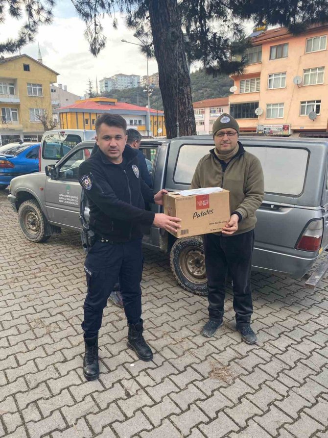 Tedavisi Tamamlanan Şahin Doğal Ortamına Salındı