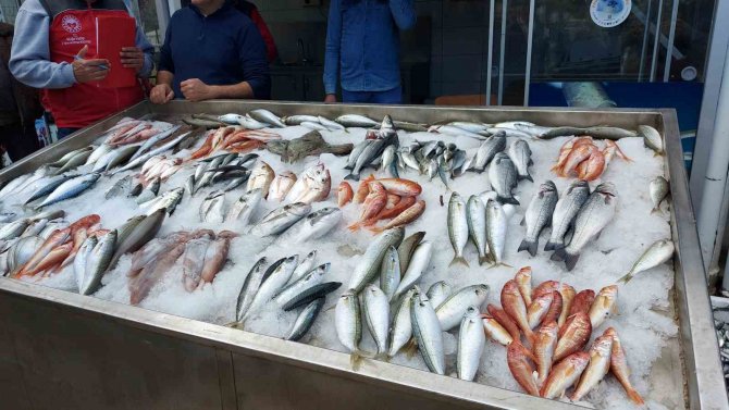 Tuttukları Balıkları Açık Artırmada Satıp, Parasını Depremzedelere Bağışladılar
