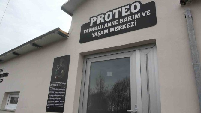 ’Proteo’nun İsmi Samsun’da Yaşatılacak