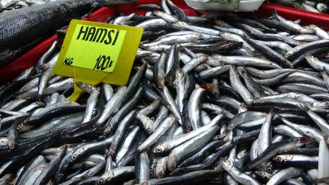 Yasakların Ardından İrileşen Hamsinin Kilosu 50 Liradan 100 Liraya Çıktı