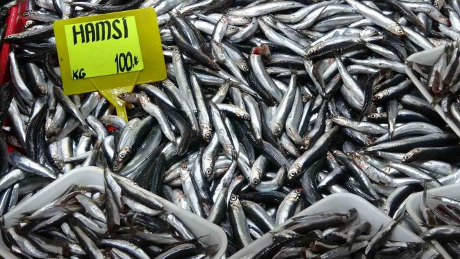 Yasakların Ardından İrileşen Hamsinin Kilosu 50 Liradan 100 Liraya Çıktı