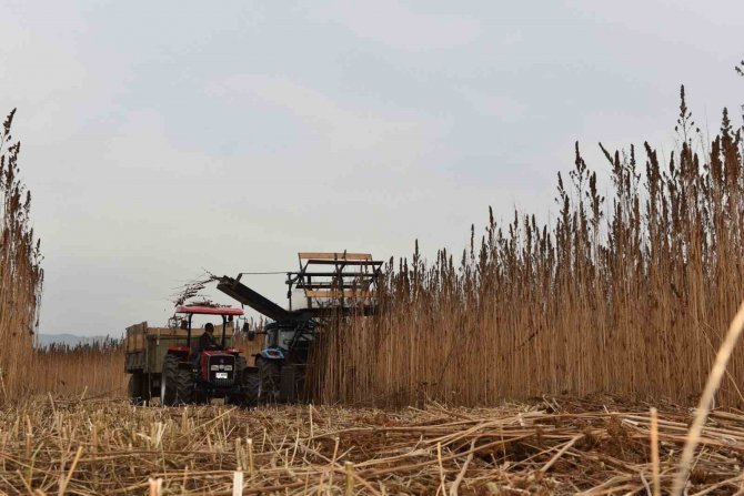 Kenevir İçin Yabancı Yatırımlar Kastamonu’ya Getirildi