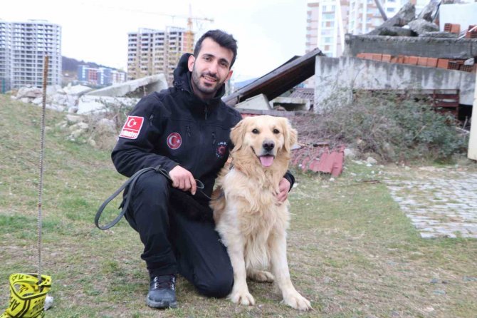 Hayat Kurtaran Köpekler İşte Bu Aşamalardan Geçiyor