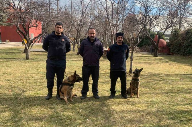 Enkaz Altındaki Vatandaşların Umudu Hassas Burunlar: “Rüzgar Ve Çakıl”