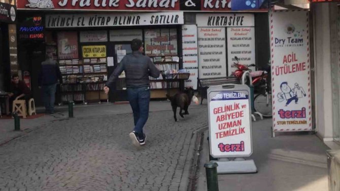 Sokak Köpeği Mağazadan Pelüş Oyuncak Çaldı