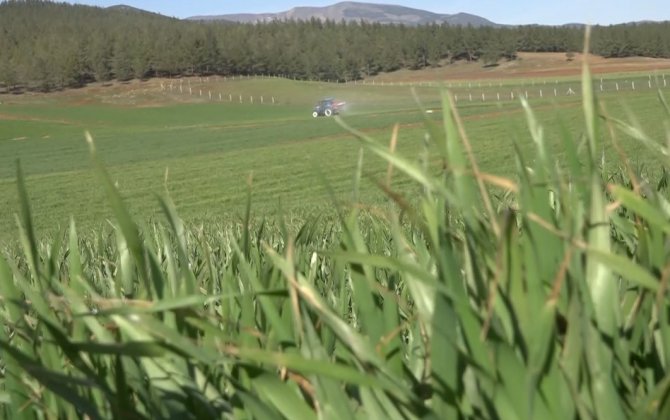 Nurdağı’ndaki Çiftçiler Asrın Felaketine Rağmen Üretime Devam Ediyor