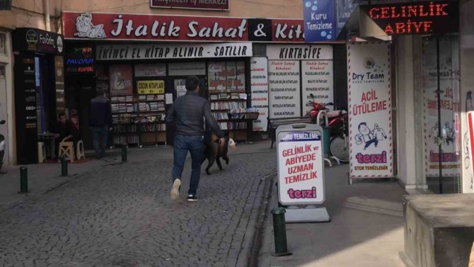 Sokak Köpeği Mağazadan Pelüş Oyuncak Çaldı