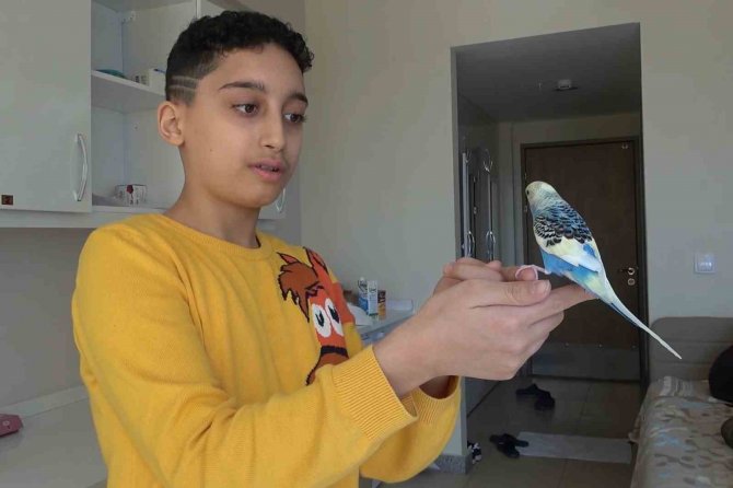 Enkazdan Annesiyle Kurtarılan Çocuk, Kuşlarını Ölüme Terk Etmedi: "Küçük Bir Canın Ölmesine İçim Razı Olmadı"