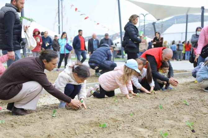 Efes Tarlası’nın Ata Tohumları Deprem Bölgesinde Filizlenecek