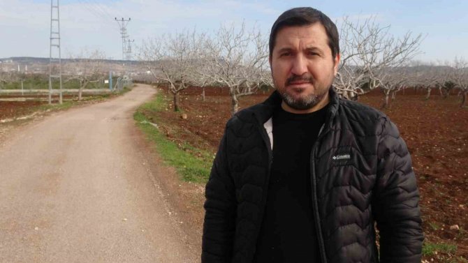 Kilis’te Çiftçiler Gece Çadırda Gündüz Tarlada