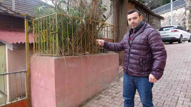 Evin Önündeki Gizemli Türbe Merak Uyandırıyor