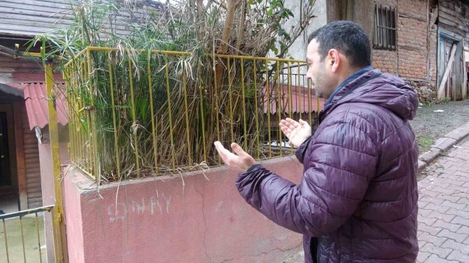 Evin Önündeki Gizemli Türbe Merak Uyandırıyor