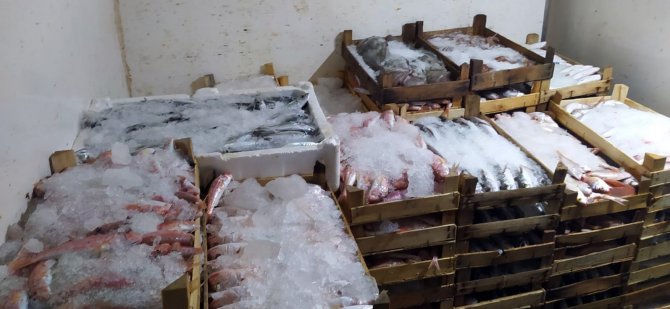 Kuşadası’nda Su Ürünleri Denetimi Yapıldı