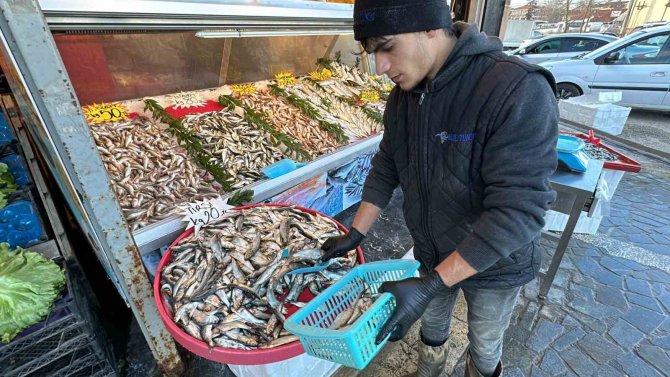 Havalar Isındı, Balık Fiyatları Düştü