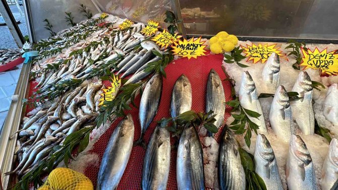 Havalar Isındı, Balık Fiyatları Düştü