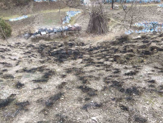 Kastamonu’da Çıkan Yangında Arı Kovanları Son Anda Kurtarıldı