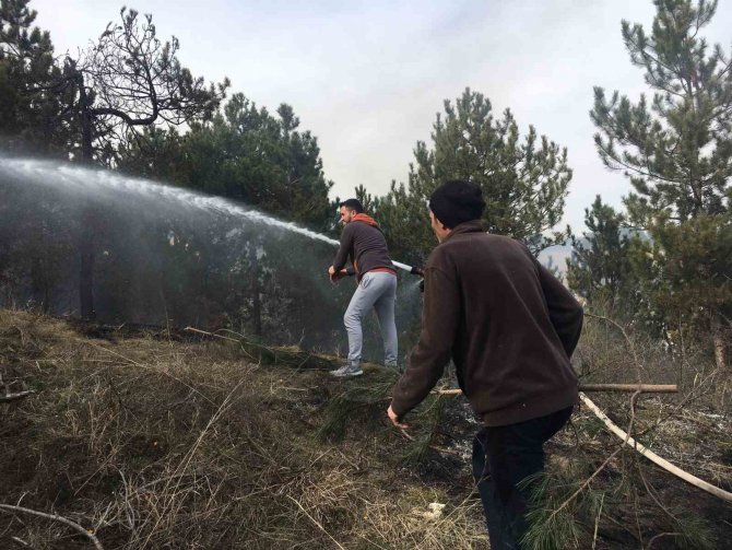 Topladığı Çöpleri Yakmak İsterken Ormanı Yaktı