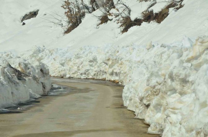 Havalar Isındı, Çığlar Düştü