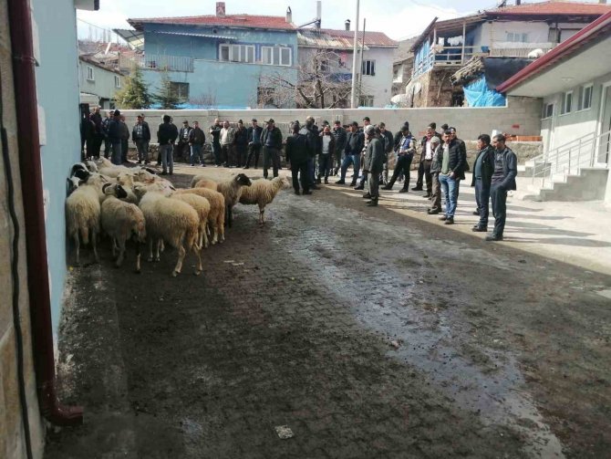 Köylüler 20 Koyunu Açık Arttırmayla Satıp, Depremzedelere Bağışladı