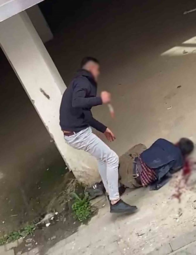 Aydın’da Dehşete Düşüren Görüntüler