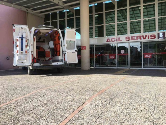 Aydın’da Dehşete Düşüren Görüntüler