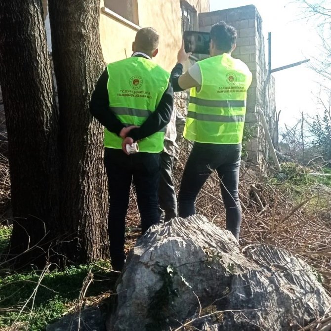 Denizli Ekipleri Hasar Tespiti İçin Deprem Bölgesinde