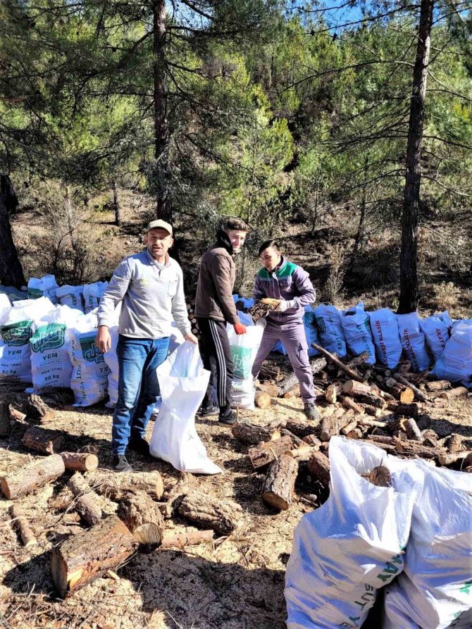 Deprem Bölgesine Yakacak Yardımı