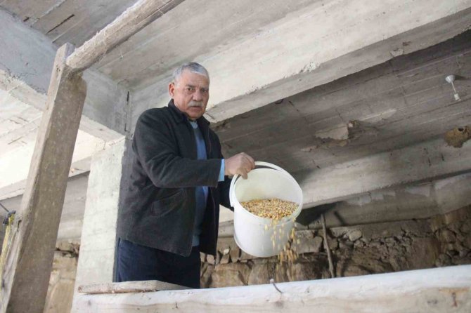 Bu Değirmenin Taşı 168 Yıldır Dönüyor