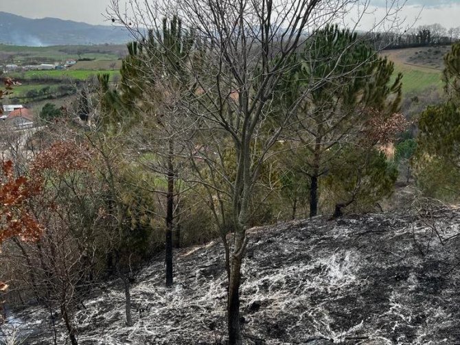 Gönen Yeniakçapınar Köyünde Orman Yangını Meydana Geldi