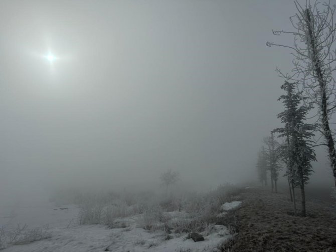 Erzurum’da Yoğun Sisten Göz Gözü Görmedi