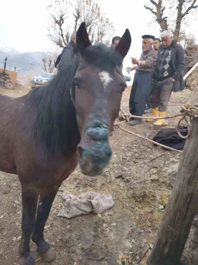 Enkazdan 21 Gün Sonra Canlı Çıkarıldı