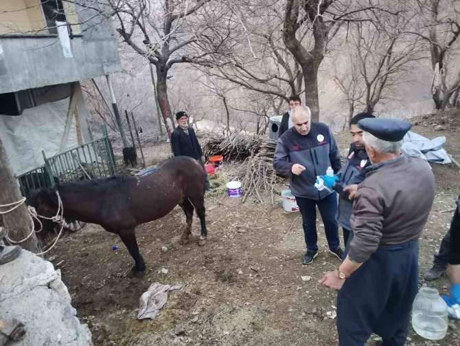 Enkazdan 21 Gün Sonra Canlı Çıkarıldı