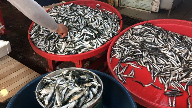 Marmara’da Hamsinin Zayıf Kalması Fiyatlara Yansıdı