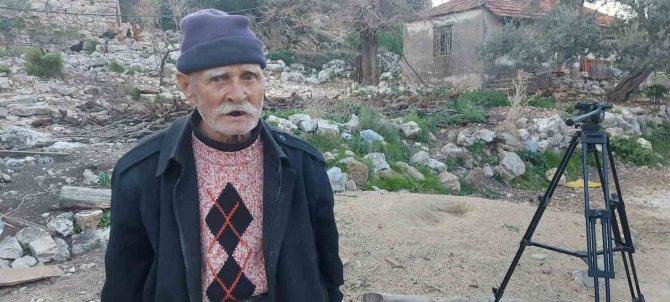 Kendi Diktiği Zeytin Ağaçlarını Korumak İçin Başka Bahçesine Nakletmek İstedi, Başına Gelmeyene Kalmadı