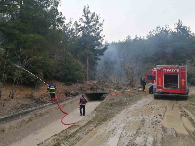 Tokat’ta Orman Yangını