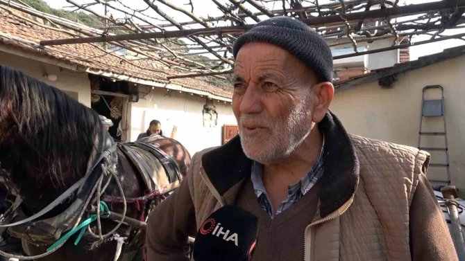 Depremde Yıkılan Ahırını Tamir Etmek İçin At Arabasıyla Kilometrelerce Yol Yapıyor