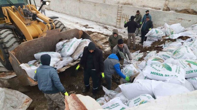 Ağrı’dan Deprem Bölgesine Mısır Silajları Gönderildi