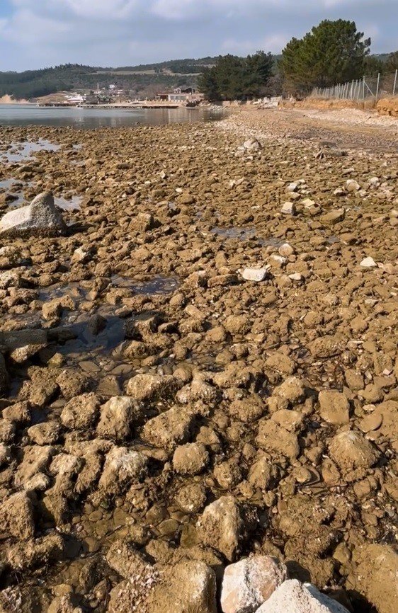 Saros Körfezi’nde Deniz Suyu Çekildi